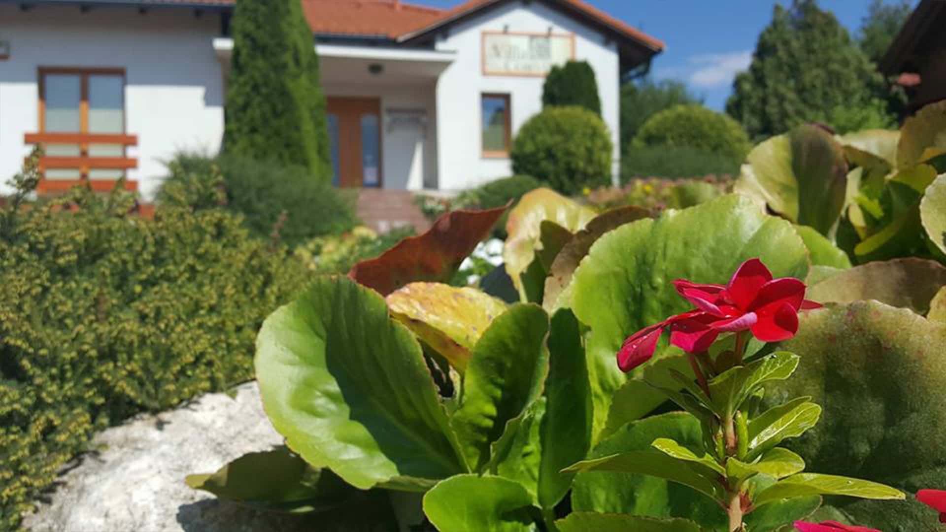 Villa Corvina